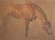 Sir edwin landseer,ra Study of a Horse (mk46) Sweden oil painting artist